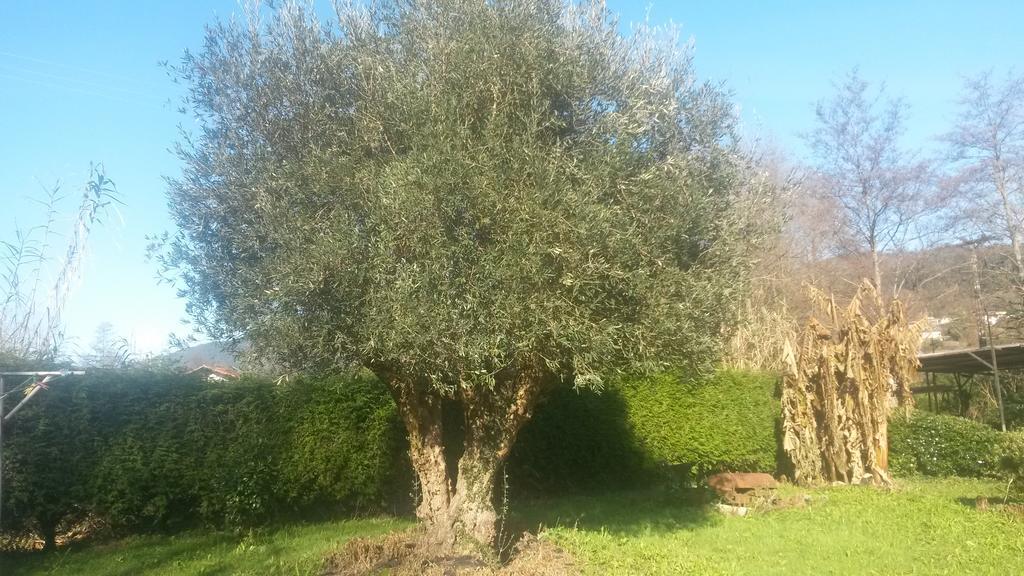 Casa Rural Ibarrondo Etxea Mungia Exteriör bild